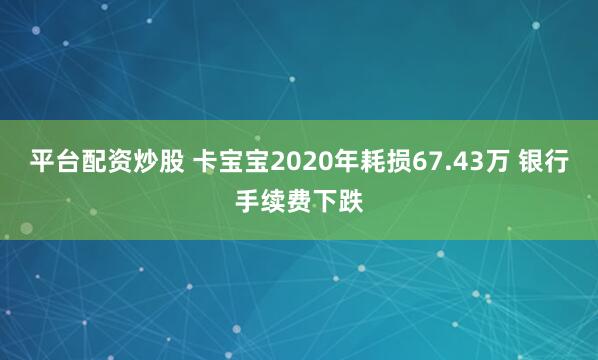 平台配资炒股 卡宝宝2020年耗损67.43万 银行手续费下跌