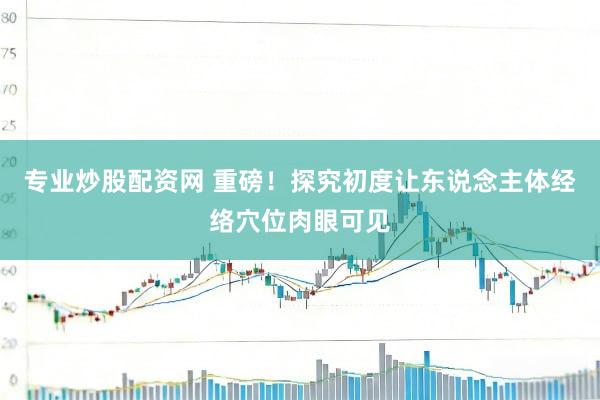 专业炒股配资网 重磅！探究初度让东说念主体经络穴位肉眼可见