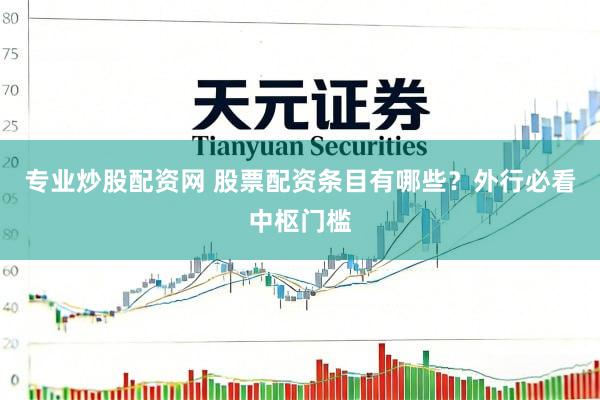 专业炒股配资网 股票配资条目有哪些？外行必看中枢门槛