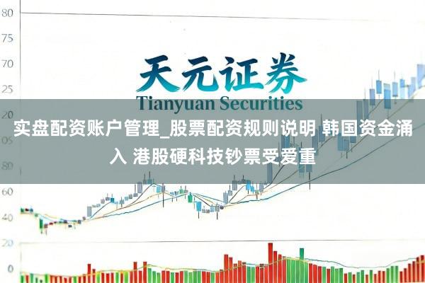 实盘配资账户管理_股票配资规则说明 韩国资金涌入 港股硬科技钞票受爱重